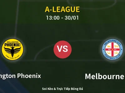 Kết Quả: Wellington Phoenix 2-2 Melbourne City – Highlight & Bàn Thắng | A-League