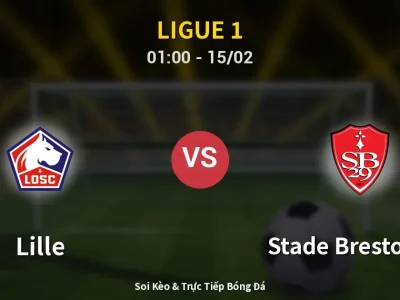 Kết Quả: Lille 1-1 Stade Brestois 29 – Highlight & Bàn Thắng | Ligue 1