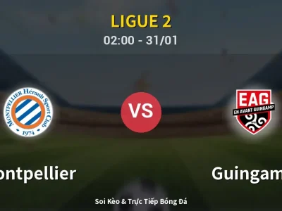 Kết Quả: Montpellier 3-1 Guingamp – Highlight & Bàn Thắng | Ligue 2
