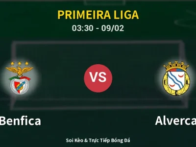 Kết Quả: Benfica 2-1 Alverca – Highlight & Bàn Thắng | Primeira Liga