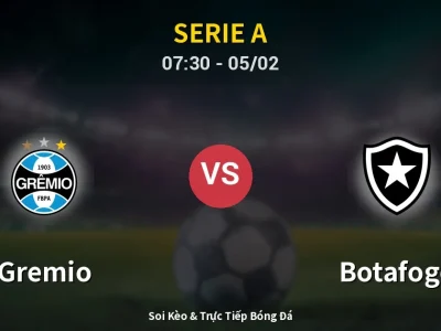 Kết Quả: Gremio 5-3 Botafogo – Highlight & Bàn Thắng | Serie A