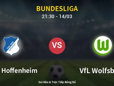 🔴 Trực Tiếp: 1899 Hoffenheim 0-0 VfL Wolfsburg – Link Xem Bundesliga (Full HD)