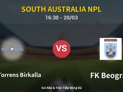 Kết Quả: West Torrens Birkalla 2-1 FK Beograd – Highlight & Bàn Thắng | South Australia NPL